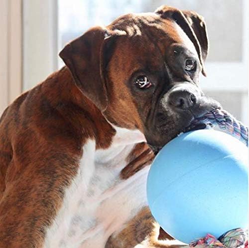 Jolly Pets Romp-N-Roll Rope & Ball Dog Toy, 8 in Large, Blueberry - Image 3