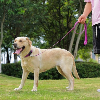 Waterproof Dog Leash, 5/6 FT Durable Odor-Proof Dog Leashes with Strong Metal Hooks Fits Small Medium or Large Dogs (Purple, 5FT - 3/4 inch Width) - Image 6