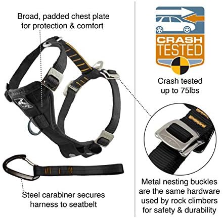 Kurgo Enhanced Strength Tru-Fit Dog Car Harness - Pet Travel Safety Harness - Crash Test Certified Fit - Five Point Adjustment - Secure Buckle - Padded Chest - Deep Violet - Large - Image 2