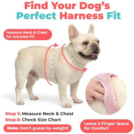 Voyager Step-in Air Dog Vest Harness - Turquoise 2-Tone, Large - Image 6