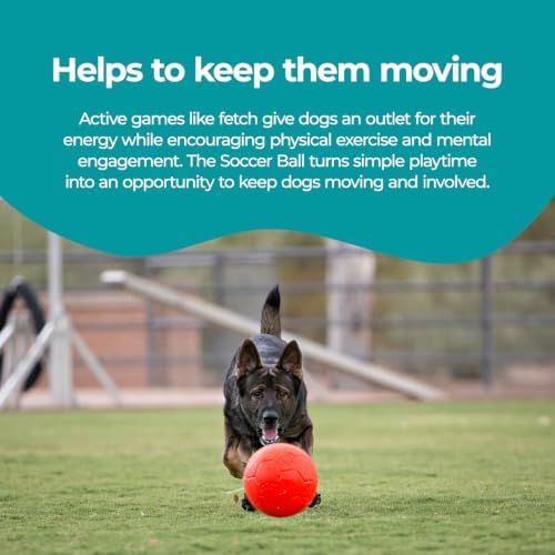 Jolly Pets Large Soccer Ball Floating-Bouncing Dog Toy, 8 inch Diameter, Orange - Image 6