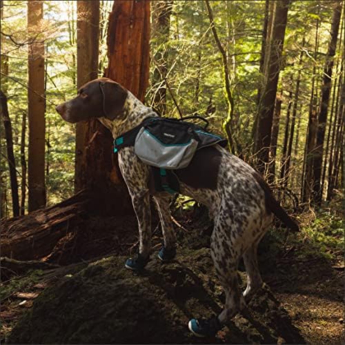 ZippyPaws Adventure Backpack for Dogs, Tactical Bag for Dogs to Carry Travel Essentials, Teal, Medium - Image 7