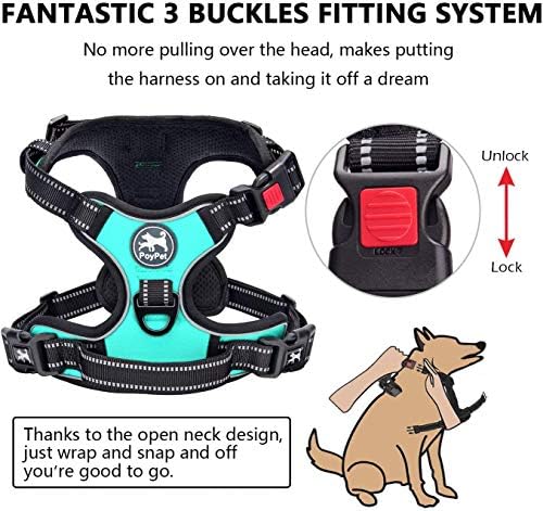 PoyPet No Pull Dog Harness Small with Front Clip & Neck Release Buckle - Image 2