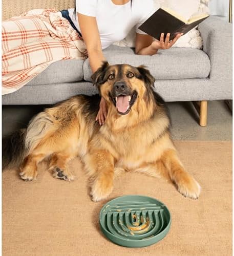 Slow Feeder Dog Bowl - Silicone Dog Bowl, Large, 9.5" x 1.5" - Spruce - Image 6