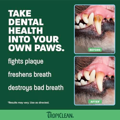TropiClean Fresh Breath Dog Tooth Brushing Kit for Large Dogs - Image 3