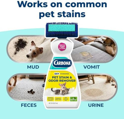 Carbona 2-in-1 Oxy-Powered Pet Stain & Odor Remover (22 Fl Oz, 1 Pack), Carpet Spot Cleaner Removes Urine Odor, Lifts Mud & Vomit Stains, Prevents Resoiling - Image 3