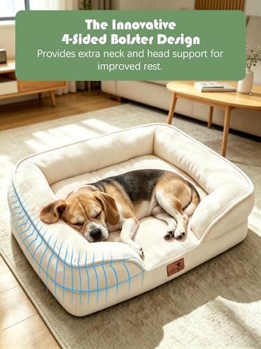 Spotted Play Orthopedic Dog Bed with Sides - Sofa Beds for Medium Dogs, Supportive Foam Pet Couch Bed with Washable Removable Cover, Waterproof Lining and Non-Slip Bottom, Ivory - M - Image 5