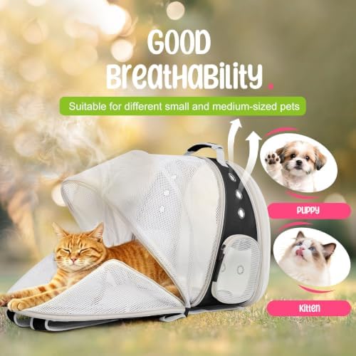 Dual Expandable Large Cat Backpack Carrier - Image 4