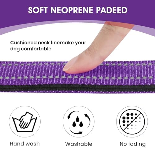 Reflective Dog Collar, Adjustable Nylon for Small Dogs, Purple - Image 3