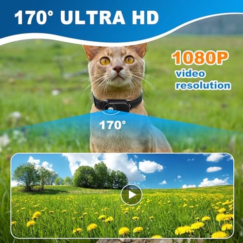 1080P Cat Camera Collar - Wireless Mini Sport Cam with Video Recording, Small Action Camera for Pet Supplies, Indoor/Outdoor Body Cam for Cats（Black Standard） - Image 3