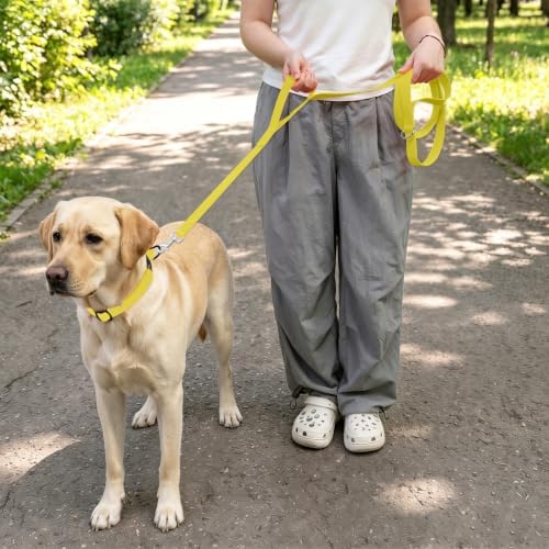 Waterproof Dog Leash with Double Handle, 6 FT Durable Odor-Proof Dog Leashes with Strong Aviation Aluminum Hooks Fits Small Medium or Large Dogs - Image 5