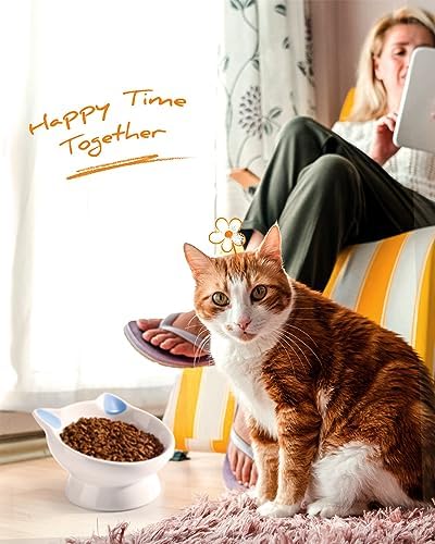 Raised Cat Food Bowl Ceramic 15° Tilted Cat Food Bowls Protect Cat's Spine Anti Vomiting Backflow Prevention Bowls for Adult Cats, Kitten, and Small Dogs, Blue - Image 6