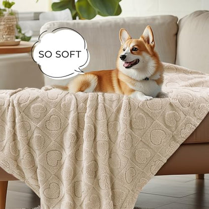 Luciphia 2 Pack Small Dog Blanket, Cozy Fleece Throw for Puppy Cat,30"x20" - Image 4