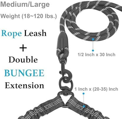 Double Dog Leash with Two Extra Traffic Handles, 18~120 lbs, Black - Image 2