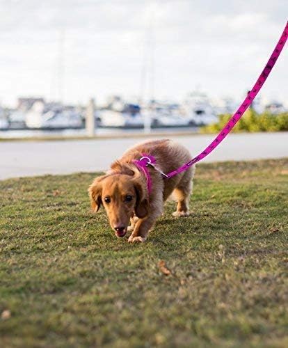 EcoBark Dog Leash - Soft & Reflective Comfort Training Leashes with Padded Handle - Safe, Strong, & Durable for Small, Medium or Large Dogs (Pink)