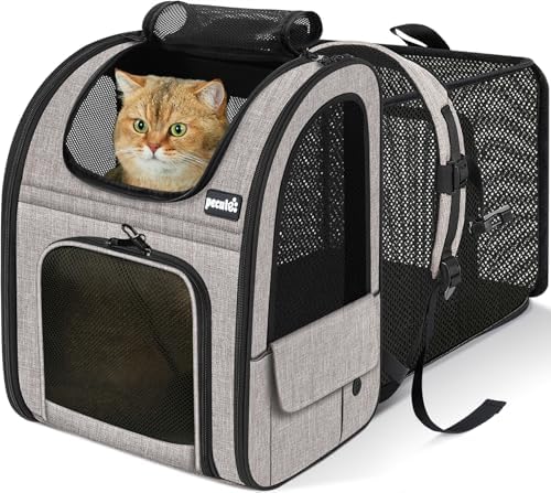 pecute Cat Backpack Expandable, Cat Backpack for Cat with Breathable Window by pecute