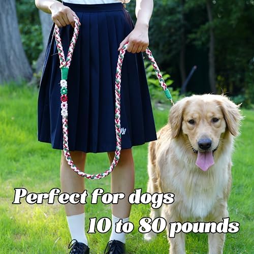 5FT Braided Cotton Rope Leash for Small, Medium and Large Dogs, Strawberry - Image 2