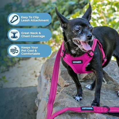Best Pet Supplies Voyager Adjustable Step-in Flex Breathable Mesh Dog Harness for Small Medium Large Dogs Leash Set (Fuchsia), M - Image 6