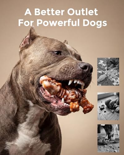 DinoBone 2-Pack Tough Dog Chew Toys for Aggressive Chewers, Rock-Hard Nylon - Image 3