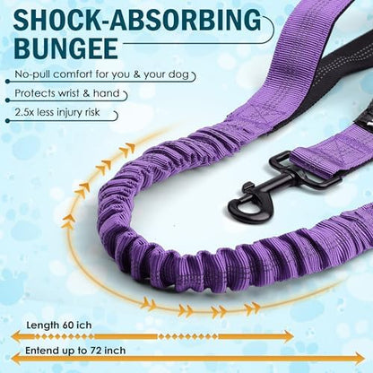 Hands Free Dog Leash for 2 Dogs, Waist Leash with Dual Bungee - Image 2