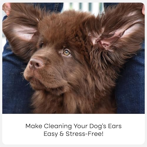 Uproot Clean Cat & Dog Ear Cleaner Finger Wipes: Natural, Disposable, 50ct - Image 3