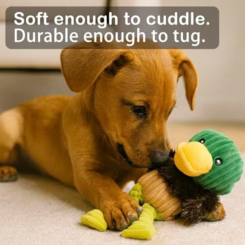 Jalousie Plush Toys Assortment Value Bundle Puppy Pet Mutt Squeak Toy for Medium Large Dogs (5 Pack Knotted) - Image 6