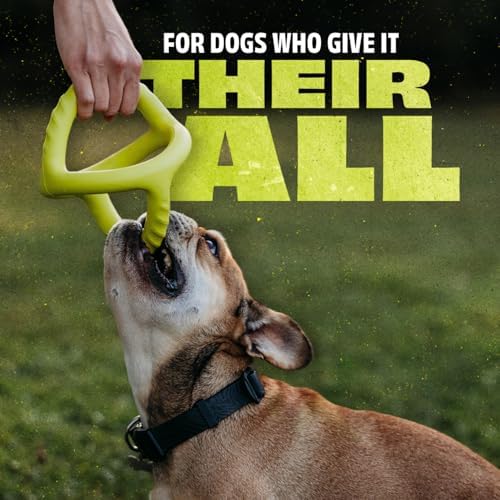 Benebone Natural Rubber Tug Interactive Dog Toy - Image 2