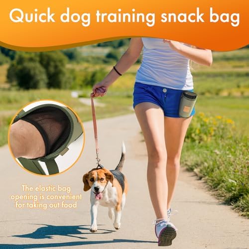 Portable Dog Treat Pouch for Training - Outdoor Waist Pack with Medium-Stiff Polyester, Leash Clip & Zippered Pocket for Pet Treats/Rewards (Grey) - Image 3