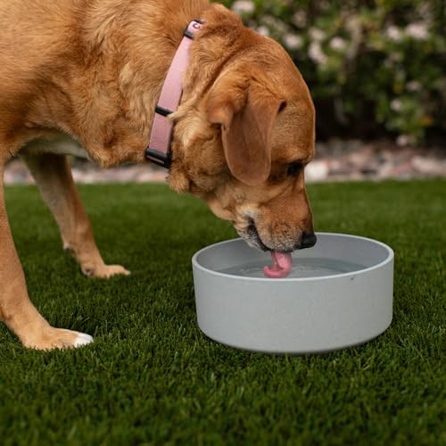 Loving Pets - Dolce Bamboo - Eco-Friendly Pet Bowls & Dishes for Dog, Cats, Puppy Food and Water Dish -Sustainable and Dishwasher Safe, Made with Real Bamboo (Small, Slate-Grey) - Image 5