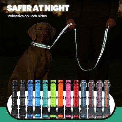 VIVAGLORY Double Handle Dog Leash Twingrip, 5ft x 1in, M, Turquoise - Image 5