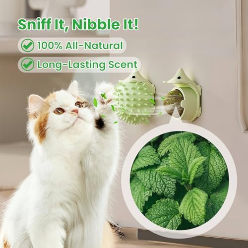 Catnip Toys with 6 Refill Catnip Balls & 3 Massage Shells - Image 4