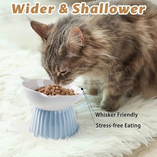 Ceramic Raised Cat Bowl，Tilted Raised Bowl Anti Vomit Bowls for Indoor Cats Whisker Friendly Pet Feeder for Cats Puppies, Microwave and Dishwasher Safe - Image 5