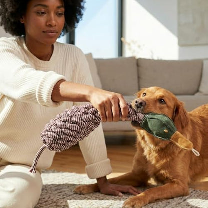 Crinkle Duck Rope and Chew Bird Dog Toy, Large Size, Brown - Image 3