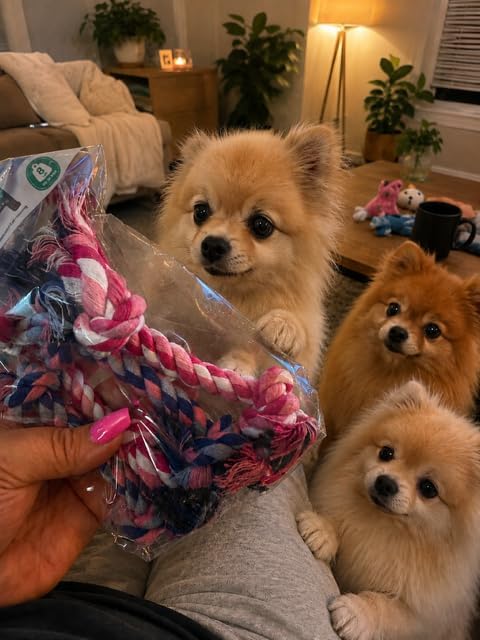 Mini Chew Rope Pack for Small Dogs – 4 Pack Puppy Rope Toys for Chihuahua, Pomeranian & Small Breeds – Tiny Paws Teething & Dental Chew Toys (Pink) - Image 2