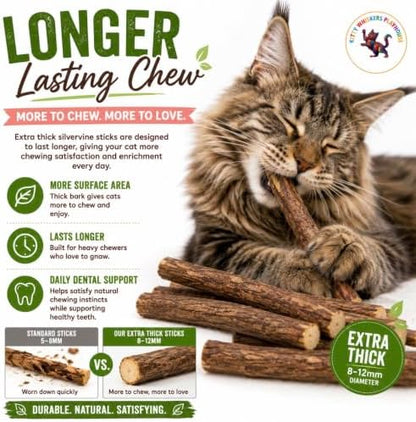 Extra Thick Silvervine Sticks for Cats, Natural Matatabi Cat Chew Sticks, 10 Pack, 8–12mm Thick, 4.75" Long, Catnip Alternative, Dental Chew Toy by Kitty Whiskers Playhouse - Image 4