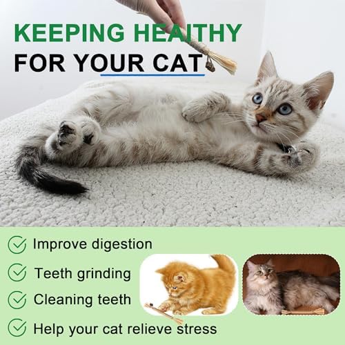 Silvervine Sticks for Cats, Silver Rattan Stick Catnip Stick,Kitten Training Toy,Cats Chew Stick Indoor,Cat Interactive Toy,Tooth Cleaning for cat,Kitty Wooden Tooth Stick Cat Game - Image 5