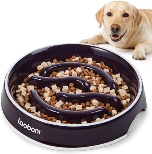 LOOBANI 3.5 Cups Ceramic Slow Feeder Dog Bowls Large Dogs with Grip Handles by LOOBANI