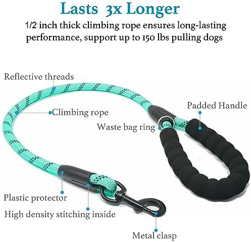 iYoShop Double Dog Leash, 360° Swivel, No Tangle, Large, 25-150 lbs, Teal - Image 3