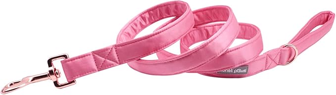 Lionet Paws Dog Leash - Silk Peach Leash for Small Medium Large Dogs Matching Collar for Girl and Boy