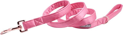 Lionet Paws Dog Leash - Silk Peach Leash for Small Medium Large Dogs Matching Collar for Girl and Boy
