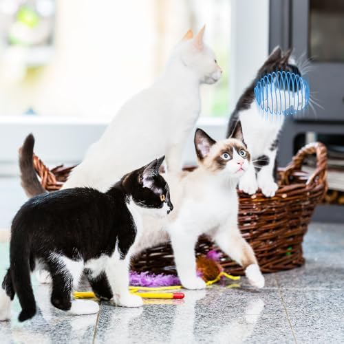 Jecery 5 Pcs Cat Toys Spring,Mouse,Blue White - Image 4