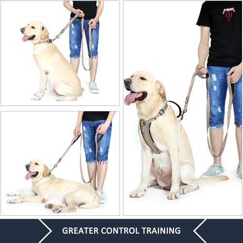 Plutus Pet Double Handle Dog Leash, 5 FT Long, for Medium Large Dogs - Image 6