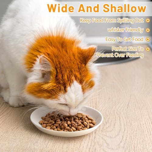 Ceramic Cat Bowls – Whisker Friendly, Anti-Vomiting Food Plates for Indoor Cats, Safe & Hygienic Cat Dishes, Stylish Ceramic Cat Food Bowls Set(6 Pack) - Image 2