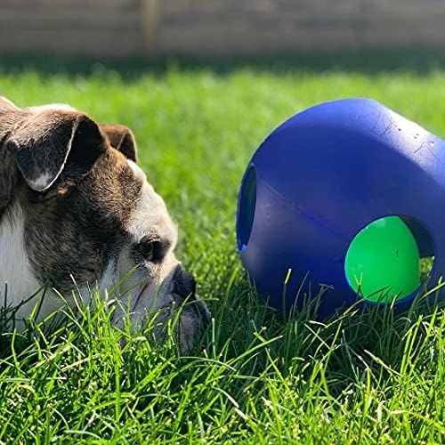 Jolly Pets Teaser Ball Interactive Dog Toy, 8 in Large, Blue - Image 5
