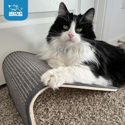 Best Pet Supplies Catify Cat Scratching Ramp - Gray - Image 6