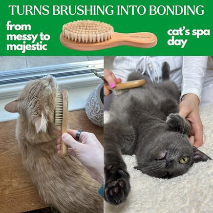 GranNaturals Boar Bristle Soft Cat Brush for Indoor, Outdoor, Short Haired Cats, Kittens, Small Dog, Rabbit, Furry Pets - Gentle Grooming on Sensitive Hair Coat & Tail with Durable Wooden Handle - Image 3