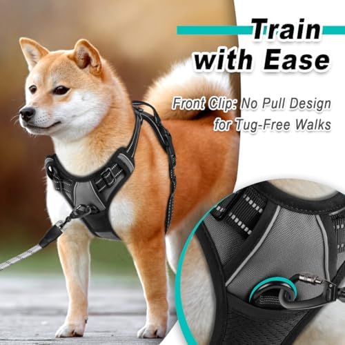 BARKBAY Dog Harness for Large Dog No Pull 2 Leash Clips Dog Vest - Image 2