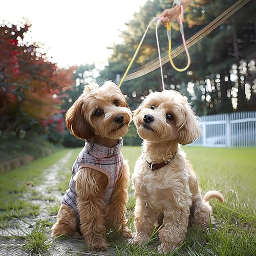 JiangYanus Double Dog Leash for Two Dogs Walking, No Tangle Dual Dog Leash - Image 6