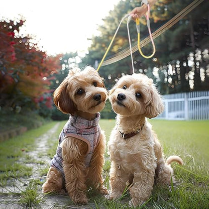 JiangYanus Double Dog Leash for Two Dogs Walking, No Tangle Dual Dog Leash - Image 6