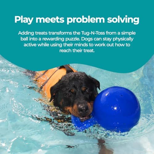 Jolly Pets Tug-n-Toss Heavy Duty Dog Toy Ball with Handle, 4 Inches/Petite, Blue (404 BL),Small Breeds - Image 5